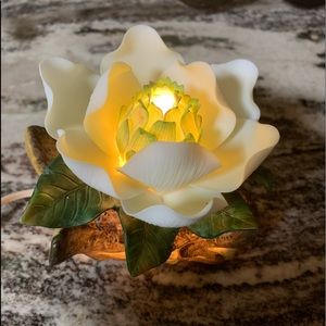 New porcelain Magnolia Light